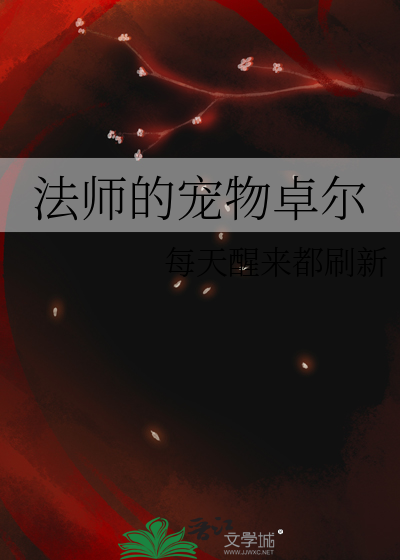 魔兽世界法师的宠物