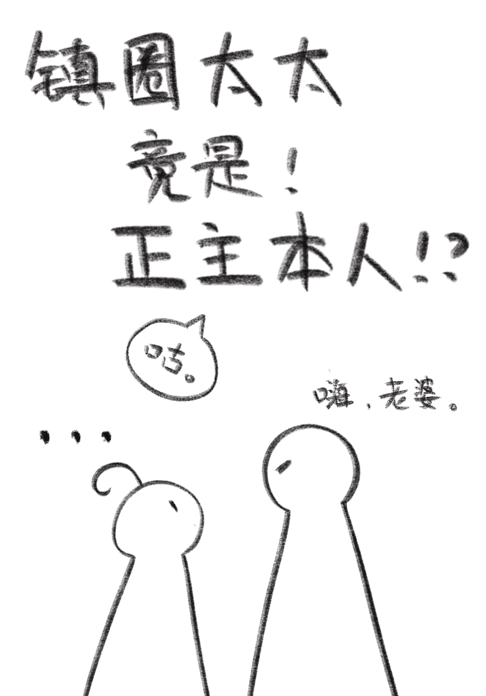 镇圈太太竟是正主本人免费