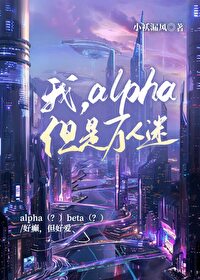 我的alpha人设