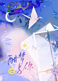 梦与醉 小说