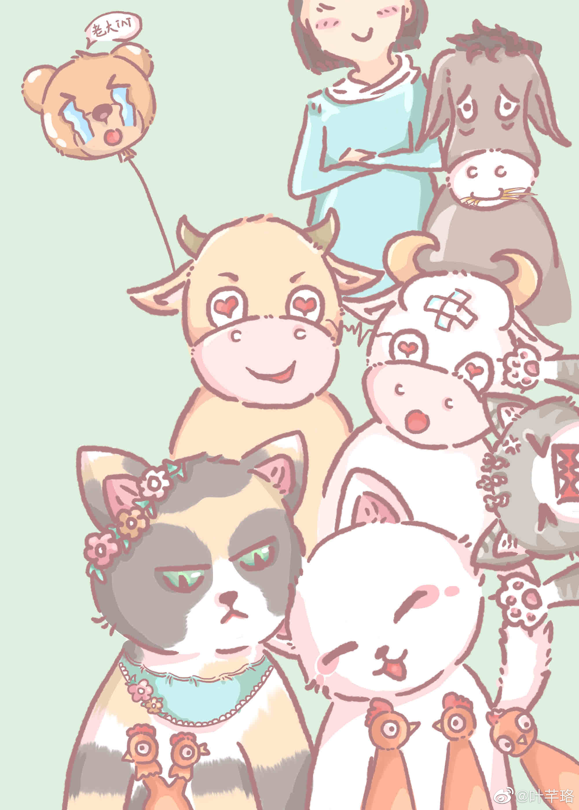 玳瑁猫土猫