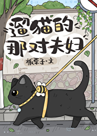 遛狗 遛猫