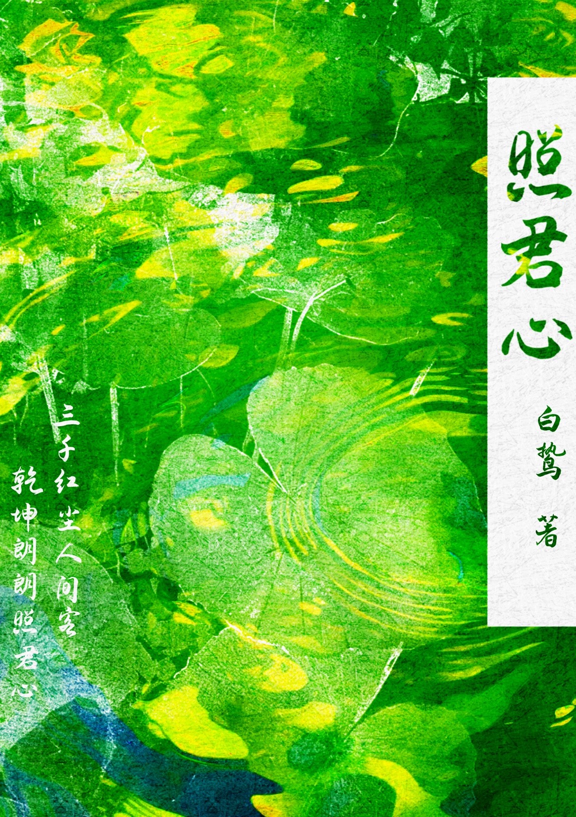 明月自有清流镜