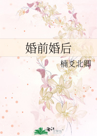 婚前婚后财产协议书