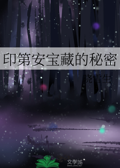 印第安国宝