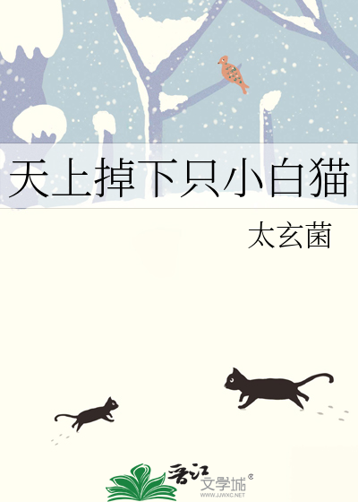天上掉下猫和狗的英文