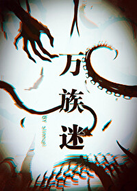 万族迷游戏小说