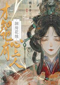 洞房花烛遇知己歌词