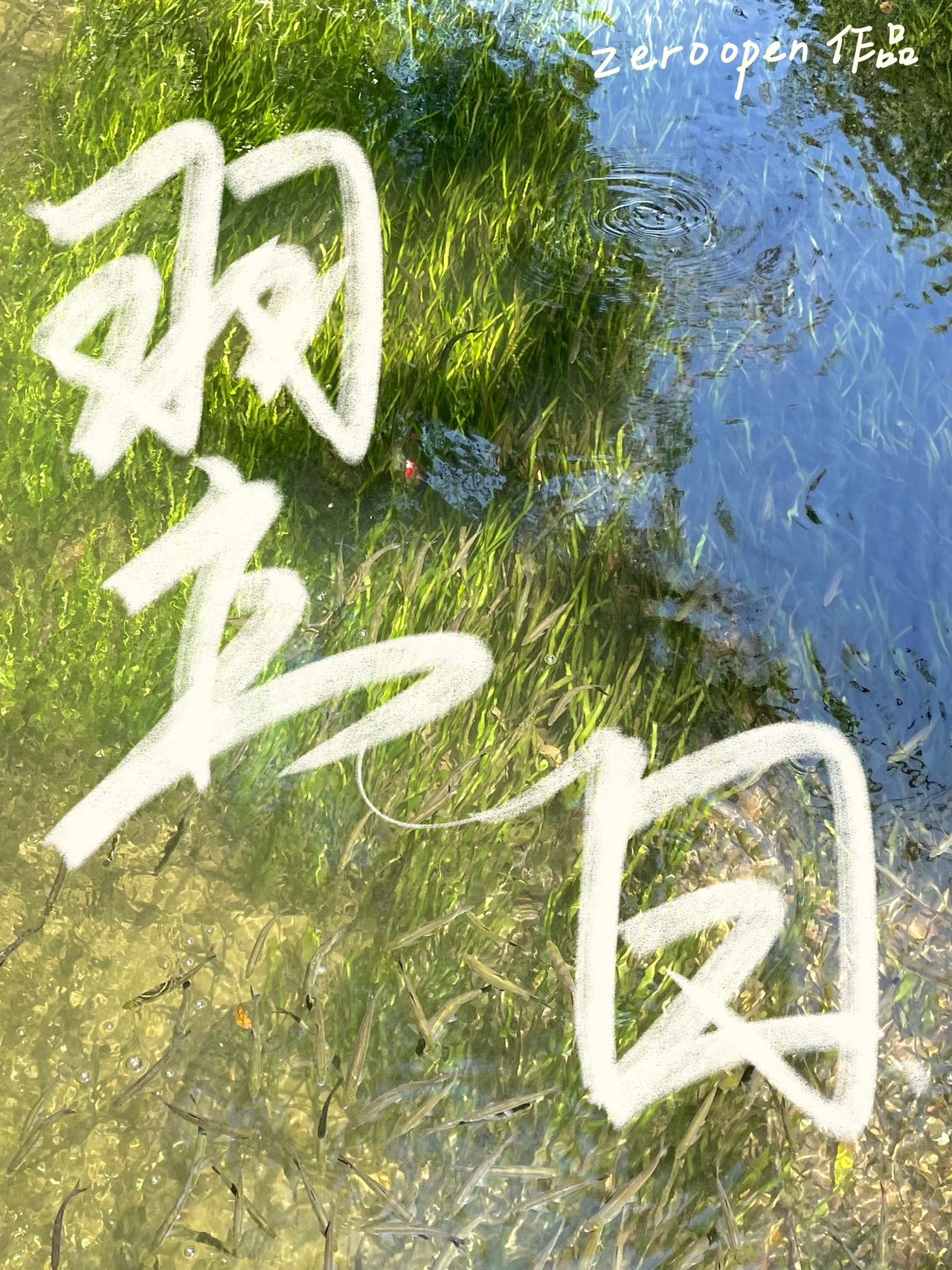 翌日下载手机版