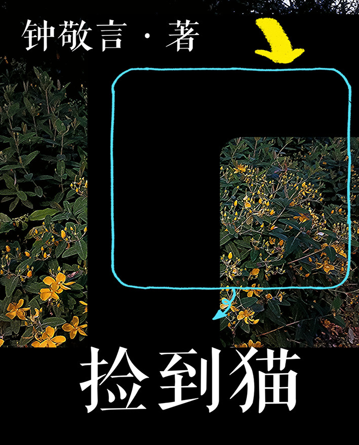 捡到一个猫系少年