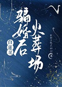 大娘子爱盛纮吗