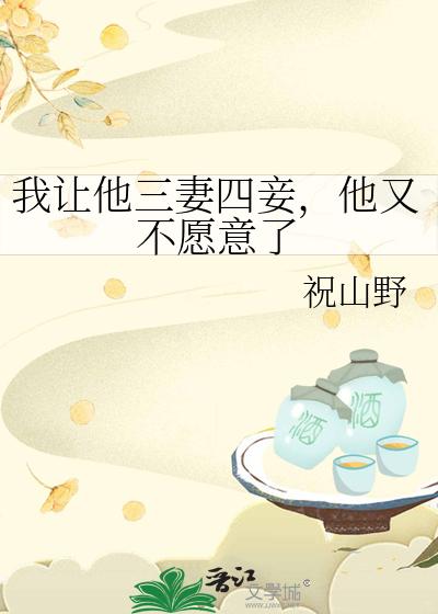 我要三妻四妾
