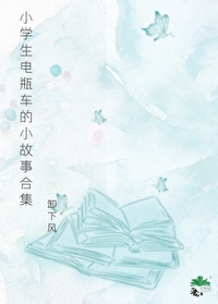 小电动车作文