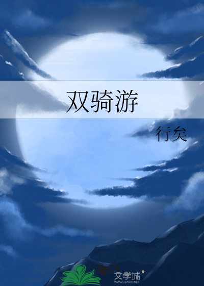 双骑游戏
