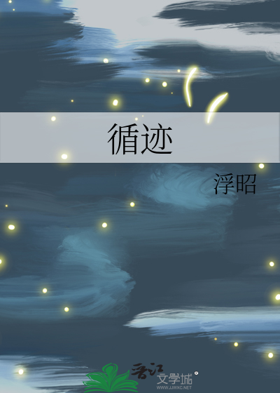 循迹琵琶版