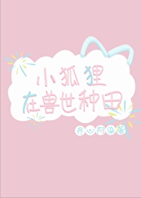 狐狸小宠