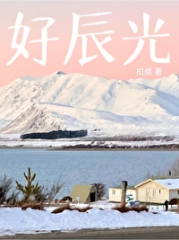 好辰光牌西洋参红景天黄芪绿茶酵母铭胶囊