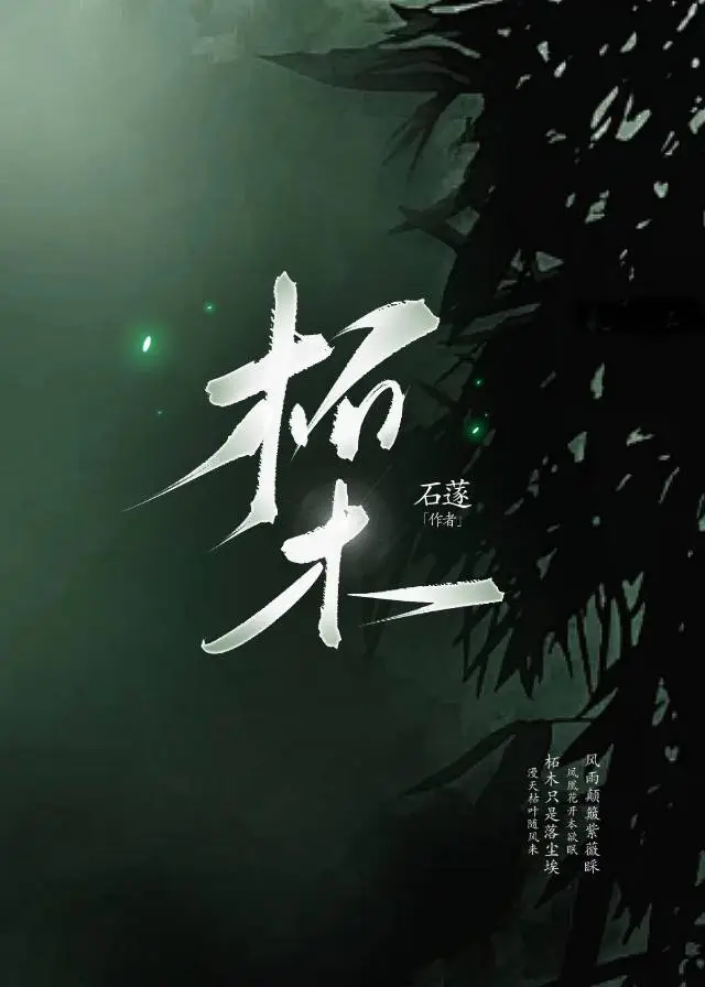 柘木属于什么档次