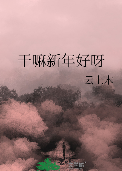 新年干嘛了