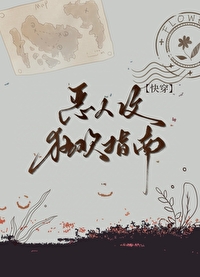 恶人攻狂欢指南[快穿