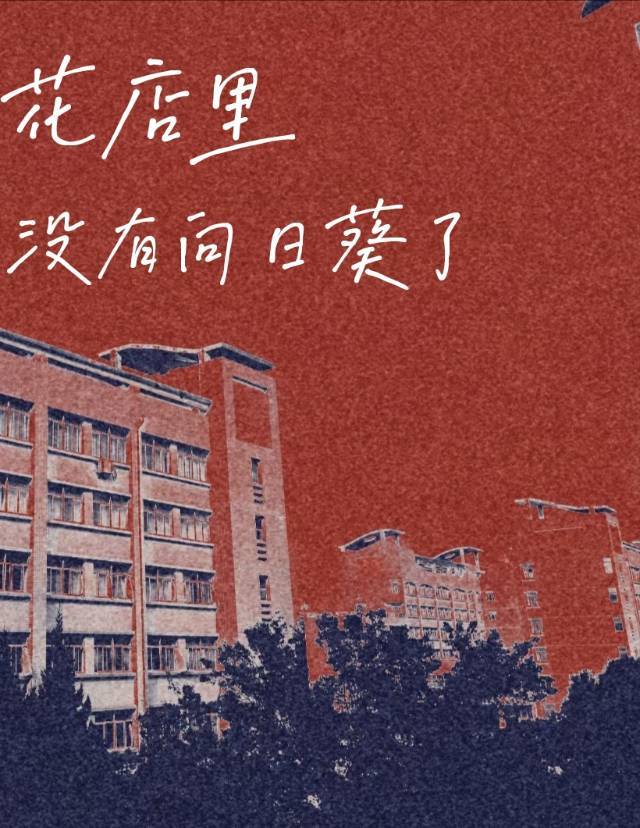花店里没有向日葵了吗