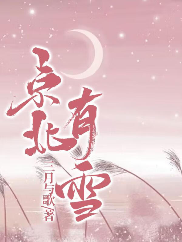 京北有雪小说讲的什么