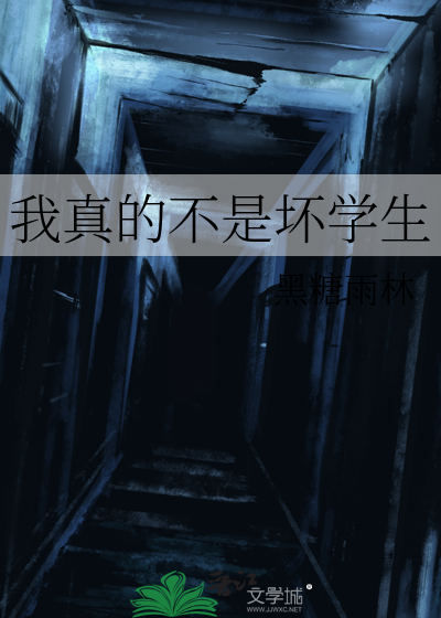 我真的不是坏学生小说