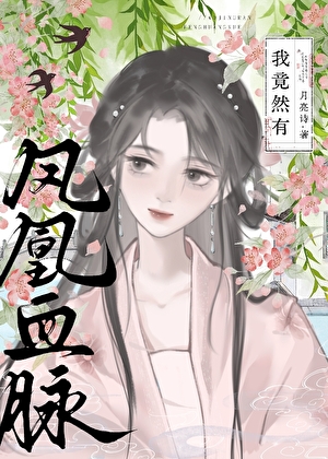 拥有凤凰之力小说
