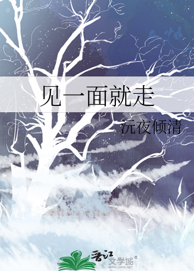 见一面就走